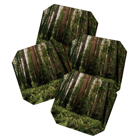 Hannah Kemp Redwood Forest Coaster Set