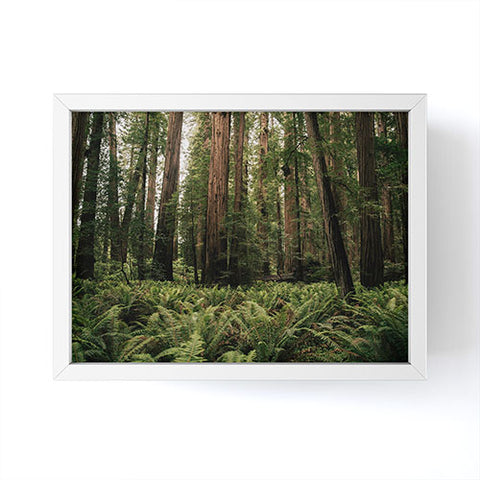 Hannah Kemp Redwood Forest Framed Mini Art Print
