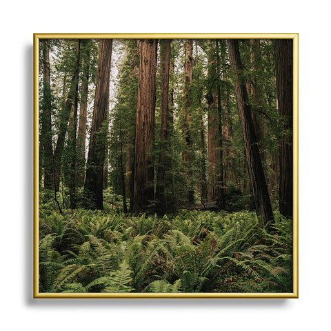 Hannah Kemp Redwood Forest Square Metal Framed Art Print