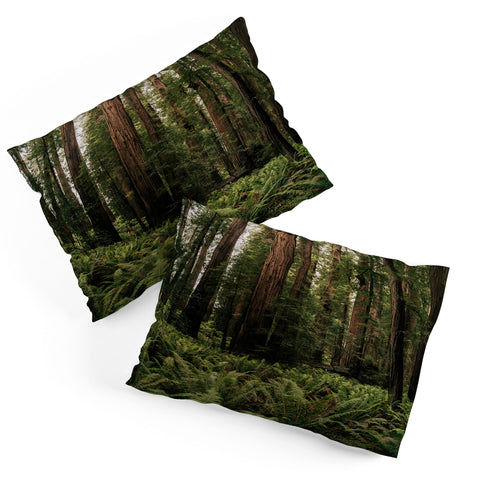 Hannah Kemp Redwood Forest Pillow Shams
