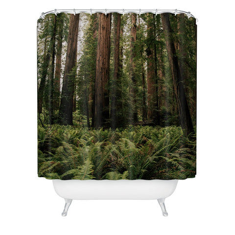 Hannah Kemp Redwood Forest Shower Curtain
