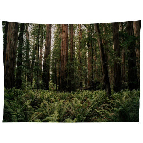 Hannah Kemp Redwood Forest Tapestry