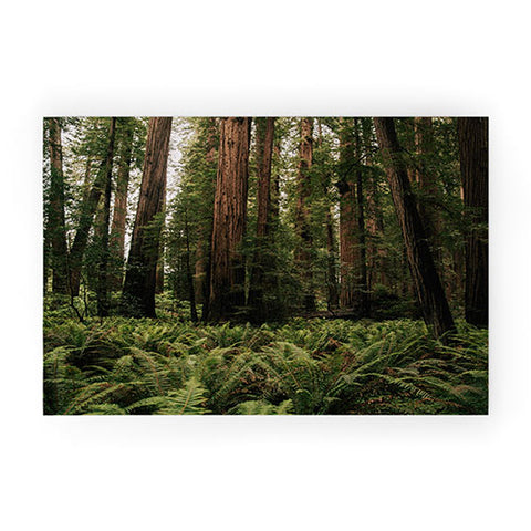 Hannah Kemp Redwood Forest Welcome Mat