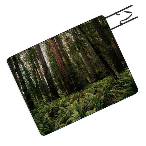 Hannah Kemp Redwood Forest Picnic Blanket