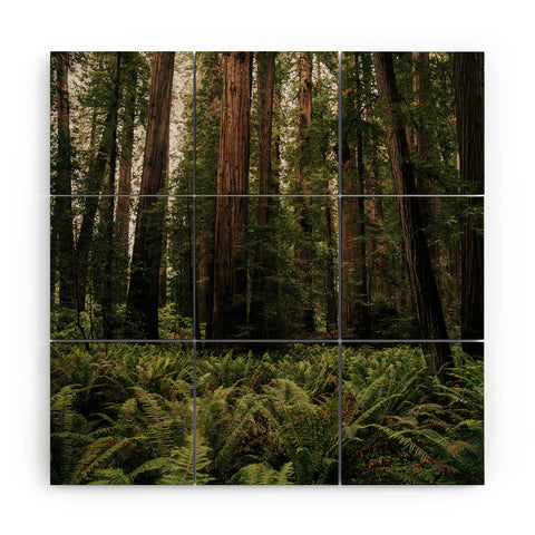 Hannah Kemp Redwood Forest Wood Wall Mural