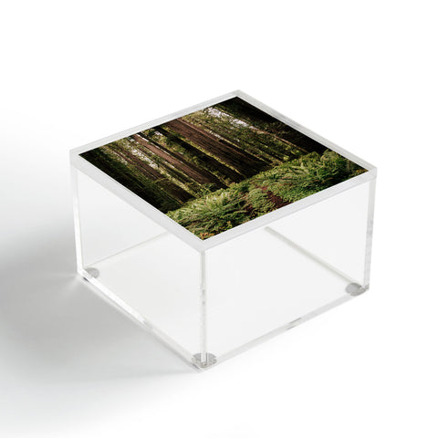 Hannah Kemp Redwood Trail Acrylic Box