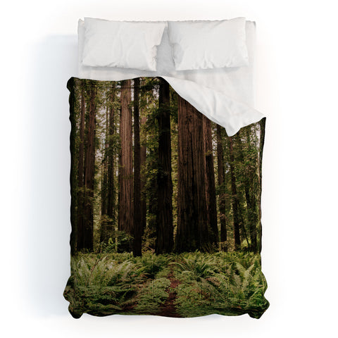 Hannah Kemp Redwood Trail Comforter