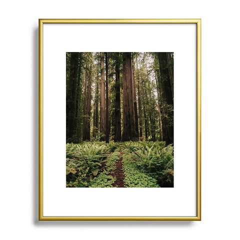 Hannah Kemp Redwood Trail Metal Framed Art Print