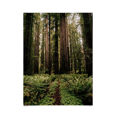 Hannah Kemp Redwood Trail Poster