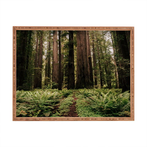 Hannah Kemp Redwood Trail Rectangular Tray