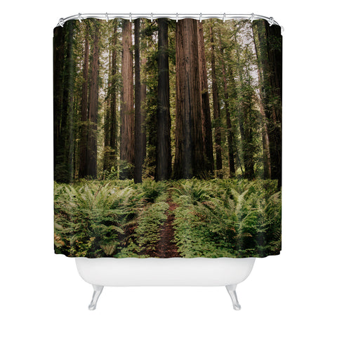 Hannah Kemp Redwood Trail Shower Curtain