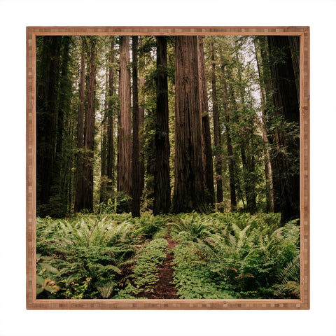 Hannah Kemp Redwood Trail Square Tray