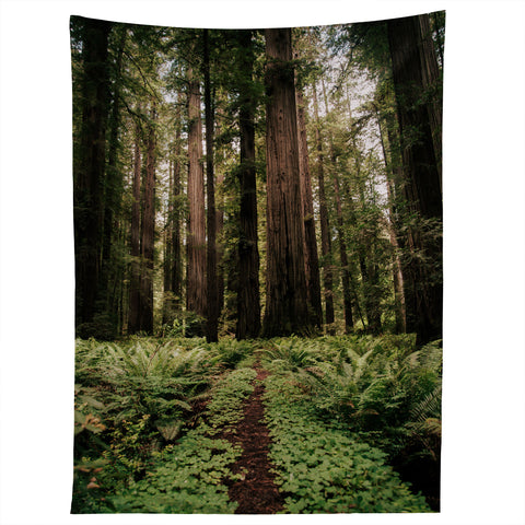 Hannah Kemp Redwood Trail Tapestry