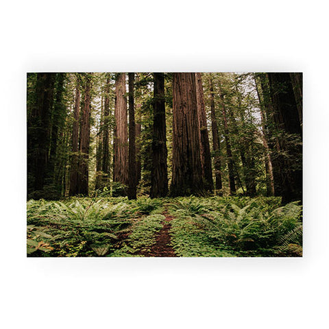 Hannah Kemp Redwood Trail Welcome Mat
