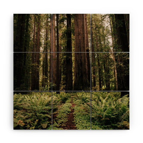 Hannah Kemp Redwood Trail Wood Wall Mural