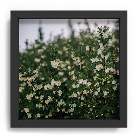 Hannah Kemp Rhododendron Albiflorum Recessed Framing Square