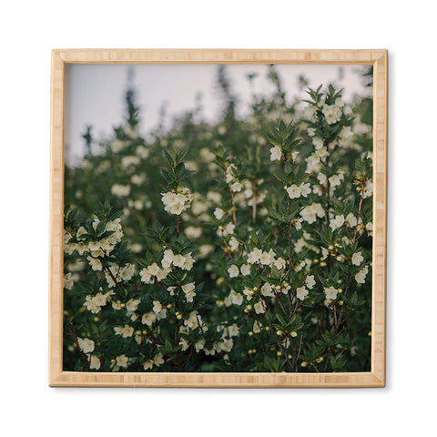 Hannah Kemp Rhododendron Albiflorum Framed Wall Art