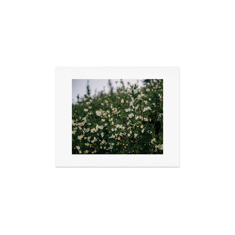 Hannah Kemp Rhododendron Albiflorum Art Print