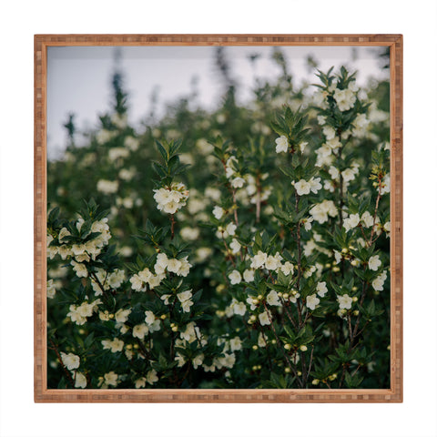 Hannah Kemp Rhododendron Albiflorum Square Tray