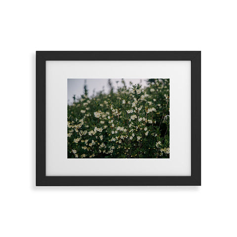 Hannah Kemp Rhododendron Albiflorum Framed Art Print