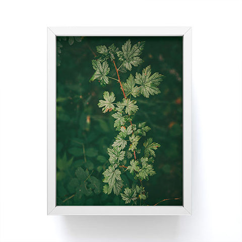 Hannah Kemp Ribes Lacustre Framed Mini Art Print