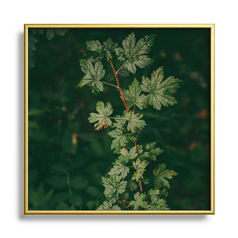 Hannah Kemp Ribes Lacustre Square Metal Framed Art Print