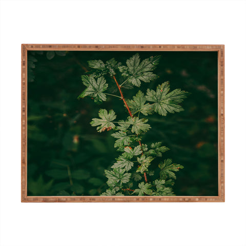 Hannah Kemp Ribes Lacustre Rectangular Tray