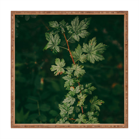 Hannah Kemp Ribes Lacustre Square Tray