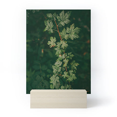 Hannah Kemp Ribes Lacustre Mini Art Print