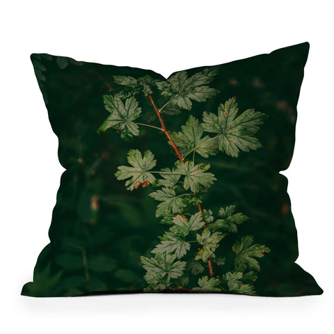 Hannah Kemp Ribes Lacustre Throw Pillow