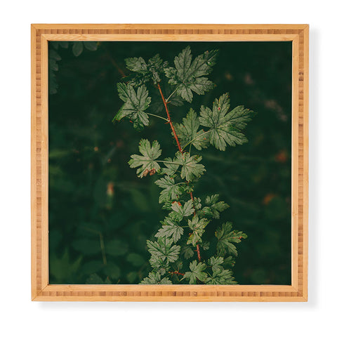 Hannah Kemp Ribes Lacustre Framed Wall Art