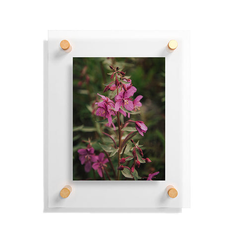 Hannah Kemp River Beauty Willowherb Floating Acrylic Print