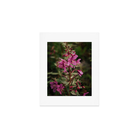 Hannah Kemp River Beauty Willowherb Art Print