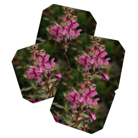 Hannah Kemp River Beauty Willowherb Coaster Set