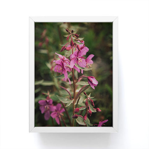 Hannah Kemp River Beauty Willowherb Framed Mini Art Print