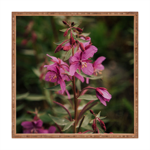 Hannah Kemp River Beauty Willowherb Square Tray