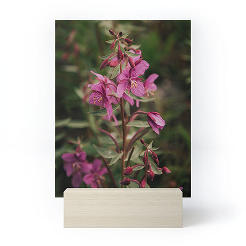 Hannah Kemp River Beauty Willowherb Mini Art Print