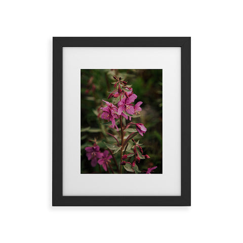 Hannah Kemp River Beauty Willowherb Framed Art Print
