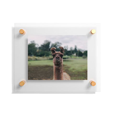 Hannah Kemp Rosabell Floating Acrylic Print