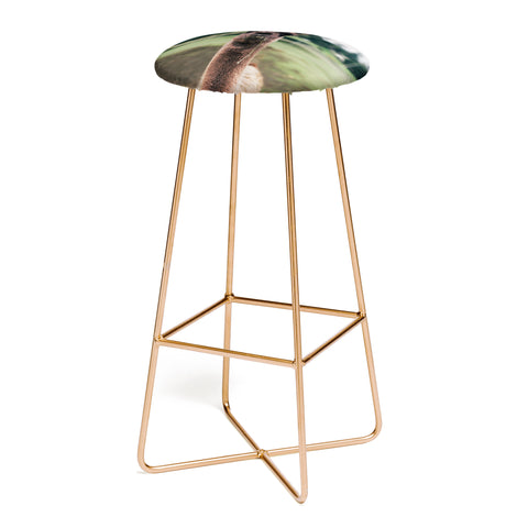 Hannah Kemp Rosabell Bar Stool