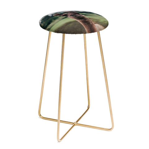 Hannah Kemp Rosabell Counter Stool