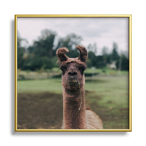 Hannah Kemp Rosabell Square Metal Framed Art Print