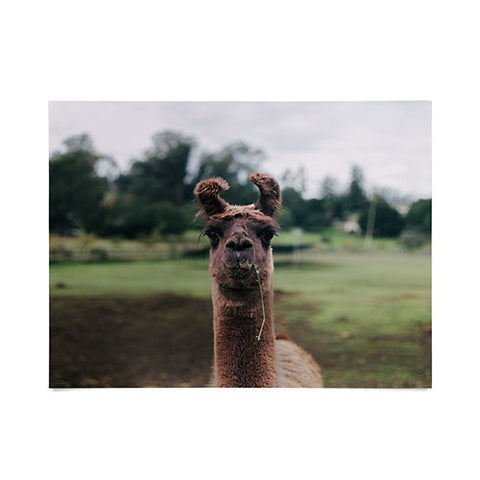 Hannah Kemp Rosabell Poster