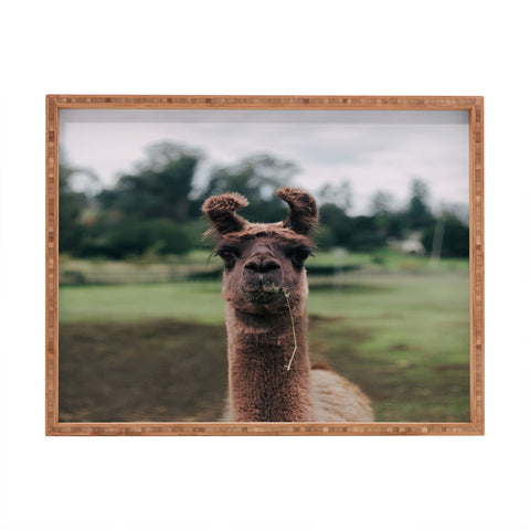 Hannah Kemp Rosabell Rectangular Tray