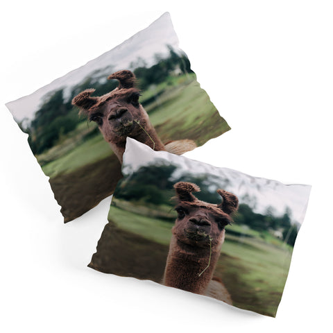 Hannah Kemp Rosabell Pillow Shams