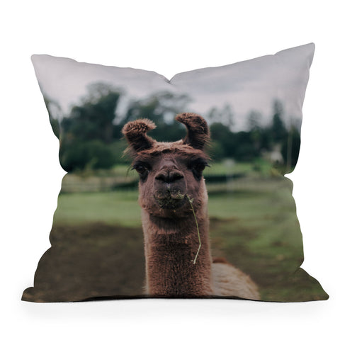 Hannah Kemp Rosabell Outdoor Throw Pillow