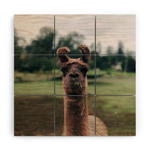 Hannah Kemp Rosabell Wood Wall Mural