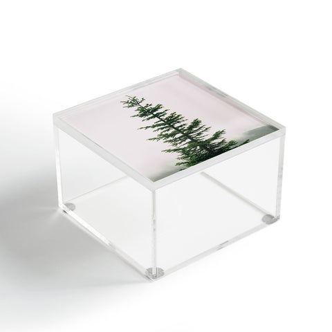 Hannah Kemp Single Tree Acrylic Box