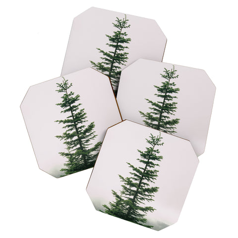 Hannah Kemp Single Tree Coaster Set