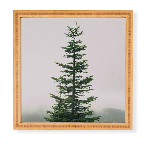Hannah Kemp Single Tree Framed Wall Art